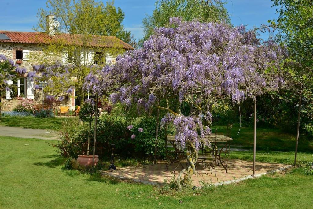 La Frapperie Bed & Breakfast La Pommeraie-sur-Sevre Bagian luar foto