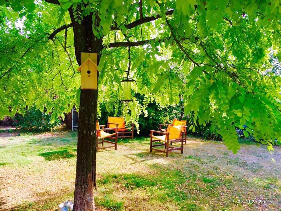 La Frapperie Bed & Breakfast La Pommeraie-sur-Sevre Bagian luar foto