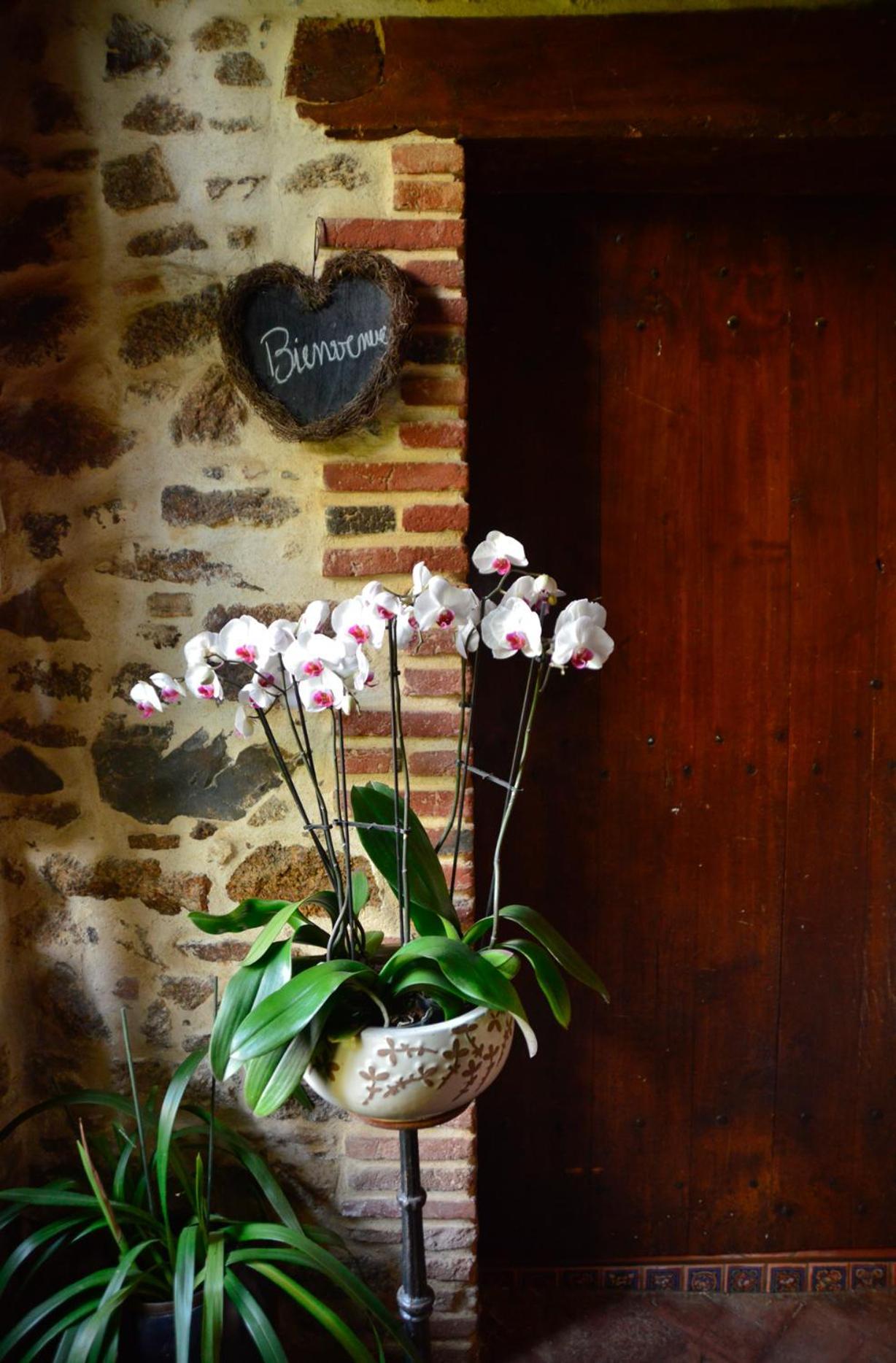 La Frapperie Bed & Breakfast La Pommeraie-sur-Sevre Bagian luar foto